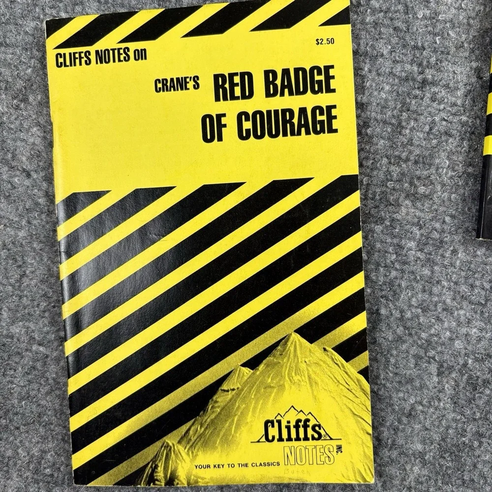 Lot Of 6 Cliffs Notes Coles Notes Catch-22‎ Scarlet Letter Red Badge Vintage